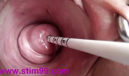 丰满的布鲁克威尔德搞砸了